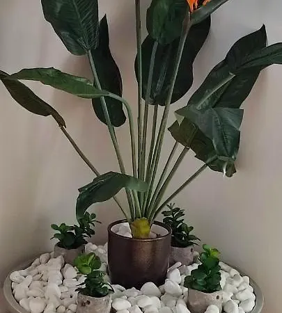 Vakantiehuis Filina's Luxury House *