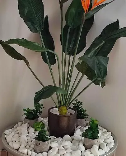 Nyaraló Filina's Luxury House *